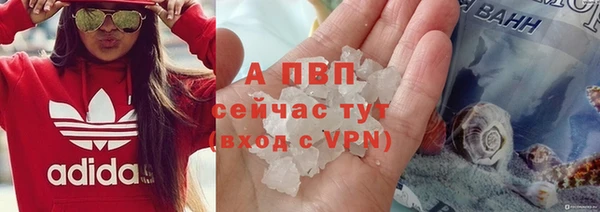 винт Алексин