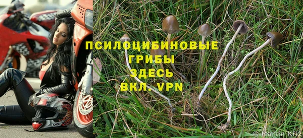а пвп мука Алексеевка