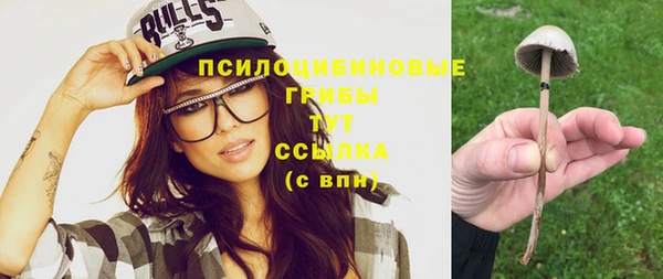 а пвп мука Алексеевка